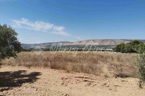 Terra a Biar, Alicante, Biar - € 125.000 | Ref: SF0426 - foto 10